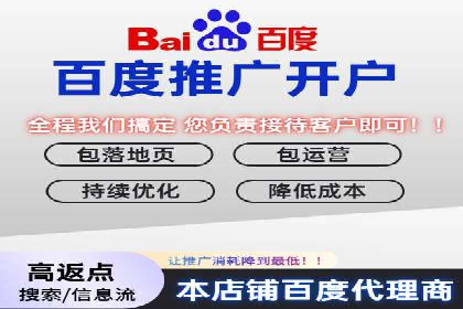 百度SEO推广公司案例精选：揭秘优化策略